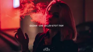 Gazan - чё за лев этот тигр