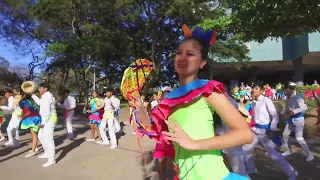 Qué Tipo Gallo - Carla Galzin