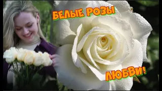 Белые розы! Григорий Герасимов