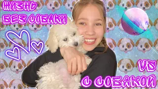 Жизнь с собакой🐶 vs без собаки🧚🏼‍♀️ // скетч // Anya Irodova // 😍