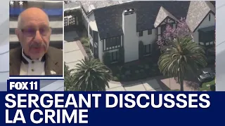 Retired LAPD sergeant discusses crime in LA