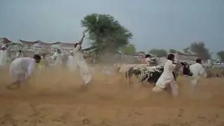 sarai alamgir shakrila harchahal masoompur maila(akharha) 2 punjabi village culture