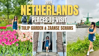 Keukenhof Tulip & Zaanse Schans: Ultimate Day Trip from Amsterdam | Solo Trip | Netherlands | 2024