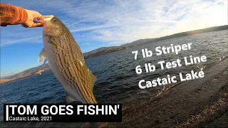 7 lb Striper, 6 lb Test Line - Fishing Castaic Lake. 2021