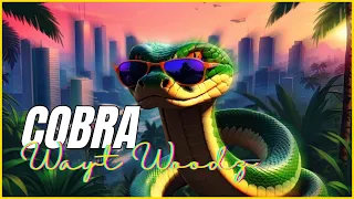 Dancehall Shatta Type Beat | Moombahton | Afro Trap | "COBRA" Instrumental