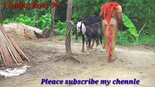 Goat Farming - Village Farming