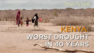 Kenya's worst drought in 40 years kills over 1,000 zebras, elephants and wildebeests