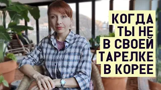 Когда ты не в своей тарелке в Корее