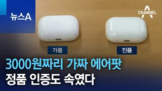 3000원짜리 가짜 에어팟, 정품 인증도 속였다 | 뉴스A