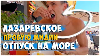 ПРОБУЮ МИДИИ / ЛУЧШЕЕ КАФЕ ЛАЗАРЕВСКОЕ / ОТДЫХ НА МОРЕ