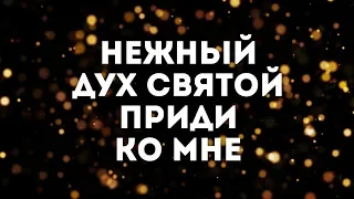 ARK WORSHIP - Нежный Дух Святой | караоке текст | Lyrics