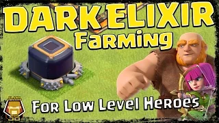 Farm Dark Elixir Fast! Best Hero Upgrade Strategy | Clash of Clans
