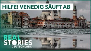 Venice - City of water and bridges sinks in the water | Documentary | Real Stories Deutschland