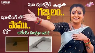 మా ఇంట్లోకి గబ్బిలం...  షూటింగ్ లో పాము... అరేయ్ ఏంట్రా ఇది || What A Coincidents || Got an Award