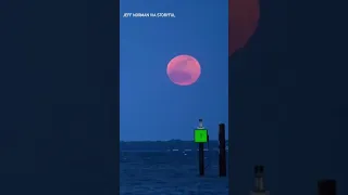 Pink Moon Lives Up to Its Name as It Rises Over Chesapeake Bay