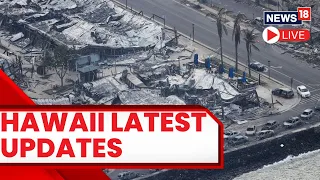 Hawaii Maui Wildfires |  Maui Wildfire Death Toll Rises To 106 | Maui Fires LIVE | Hawaii Wildlife