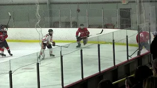 Capital City Capitals vs Fenton-Linden | Boys Hockey | STATE CHAMPS! Michigan