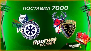 Нефтехимик - Сибирь прогноз / Торпедо - Сочи прогноз и ставка на хоккей КХЛ 09.09.2021