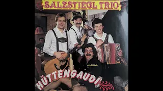Salzstiegl Trio - 01. Mir San Drei Fesche Burschen