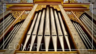 J. S. Bach - CONCERTO BWV 974 I. (Marcello, Andante) 1st mvt