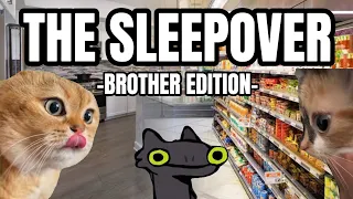 CAT MEMES: SLEEPOVER COMPILATION EP.2