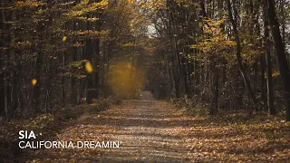 Sia - California Dreamin' (1 hour) with soothing falling leaves sound