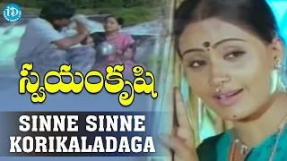 Sinne Sinne Korikaladaga Video Song | Swayam Krushi Movie | Chiranjeevi | Vijayashanti | K Viswanath