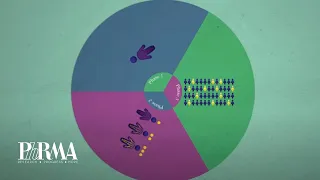 The Drug Discovery Process