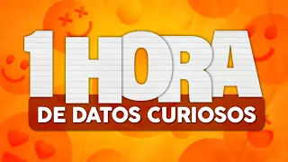 1 HORA de DATOS CURIOSOS y COSAS QUE NO SABÍAS! ⏰😲