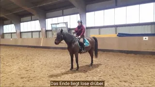 Richtig einhändig reiten - ein Ausschnitt zur Zügelführung