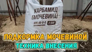 ВЕСЕННЯЯ ПОДКОРМКА МОЧЕВИНОЙ (КАРБАМИДОМ): ТЕХНИКА ВНЕСЕНИЯ УДОБРЕНИЯ | ВЕСЕННИЕ РАБОТЫ В САДУ