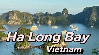 Ha Long Bay - Vietnam 2022 - Luxury Cruise (India to Vietnam Trip)