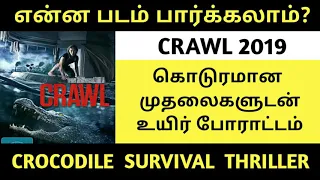 Crawl 2019 | Hollywood movie tamil review | Hollywood paithiyangal
