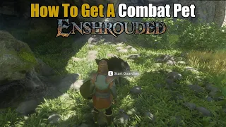 How To Get A Combat Pet. - Enshrouded