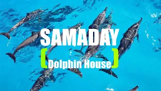 Marsa Alam Dolphin house Samaday