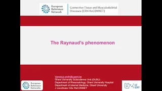 The Raynaud's phenomenon