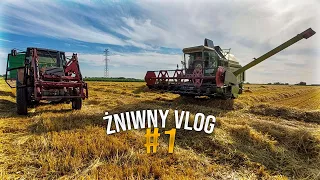 🇵🇱 Jęczmień 9ton/ha ☆  Vlog #1 ☆ Prace żniwne oraz pożniwne ☆ Jęczmień pod kose ☆