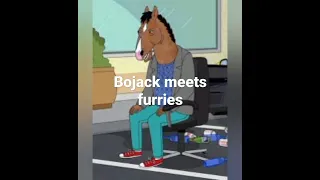 Bojack Horseman Meets Furries?