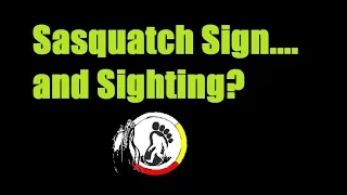 Sasquatch Sign, Footprint, Tree Breaks, Structures, X , Possible Sighting