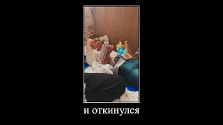 Сожрал весь снюс и кайфует вкинулся и откинулся