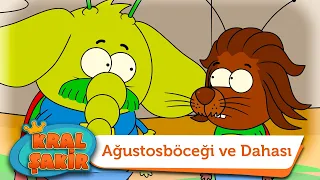 Ağustosböceği, Karınca ve Dahası - @KralSakir