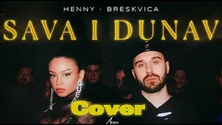 Dzeko - sava i dunav (cover)