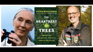 The Heartbeat of Trees: A Virtual Afternoon with Dr. Jane Goodall & Peter Wohlleben