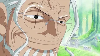 Everyone is surprised with luffy (English Sub)