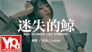 馬也_Crabbit - 迷失的鯨『我富有一整片海的貧瘠，它陳舊 發出熾烈的聲音。』【動態歌詞/Vietsub/Pinyin Lyrics】