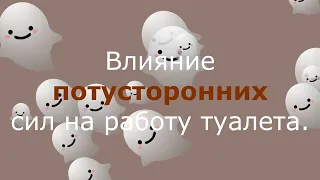 Автоматический кошачий туалет  Потусторонние силы