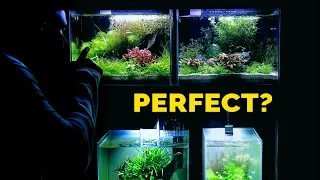 The Perfect Size Aquarium? (Beginner or Limited Space)