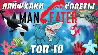 ТОП-10 Лайфхаков и Советов в игре Maneater, годный ГАЙД, обучение, фишки, секреты как открыть ворота