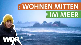 Eine Hallig ist keine normale Insel: Wenn nur noch dein Haus aus dem Meer ragt | neuneinhalb | WDR
