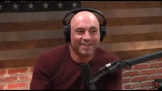 Joe Rogan; why the famous mobster Sammy the bull escaped punishment.and about Russian mafia .